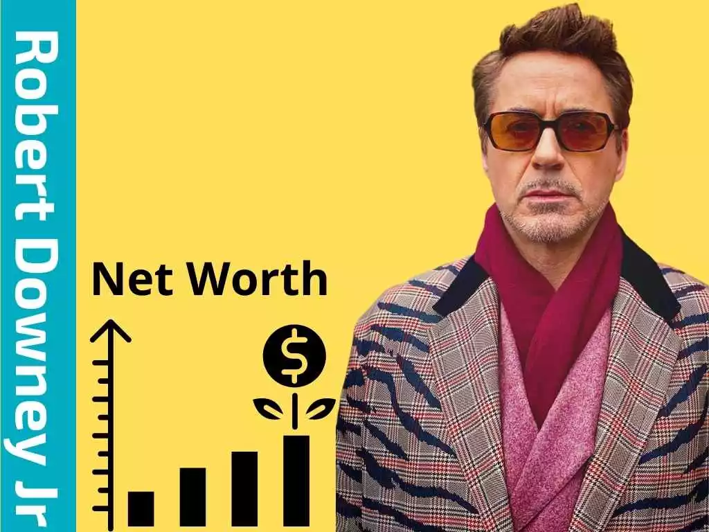 Robert Downey Jr Net Worth