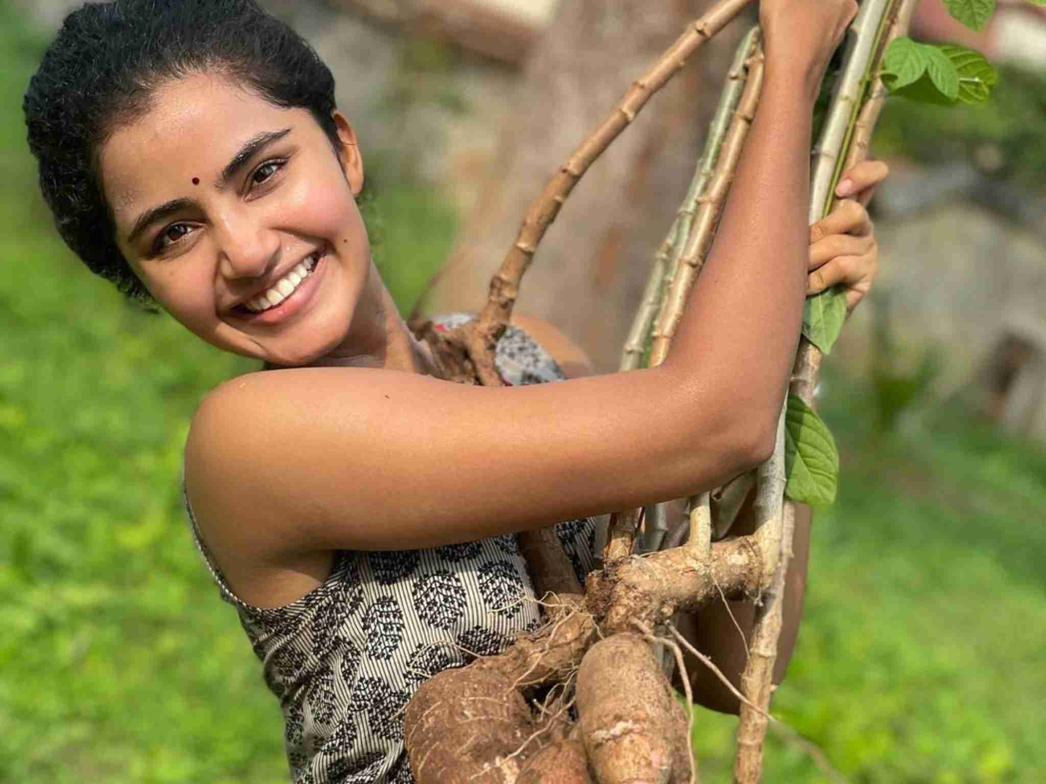 South Actress Anupama Parameswaran net worth